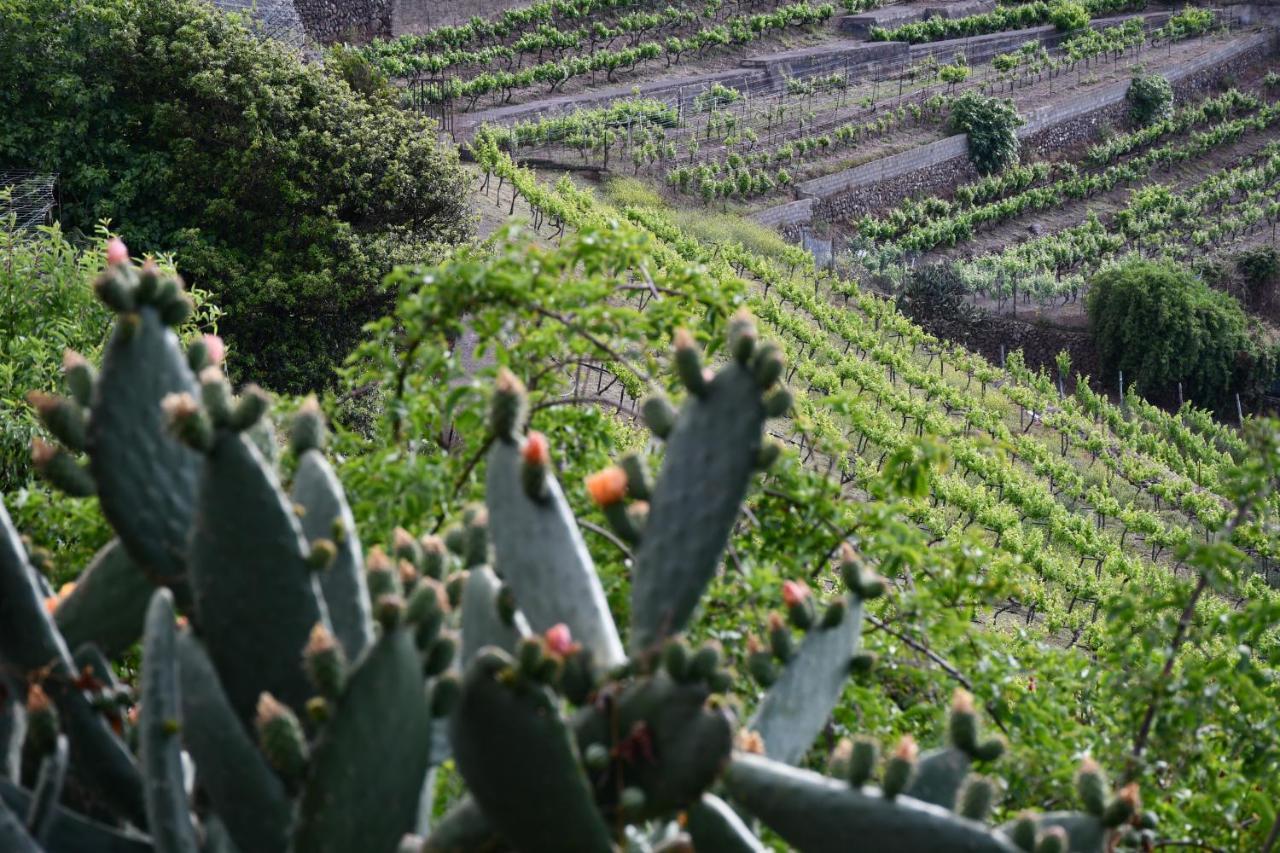 Haciendas Del Valle - Casa San Miguel Valle de Guerra Kültér fotó